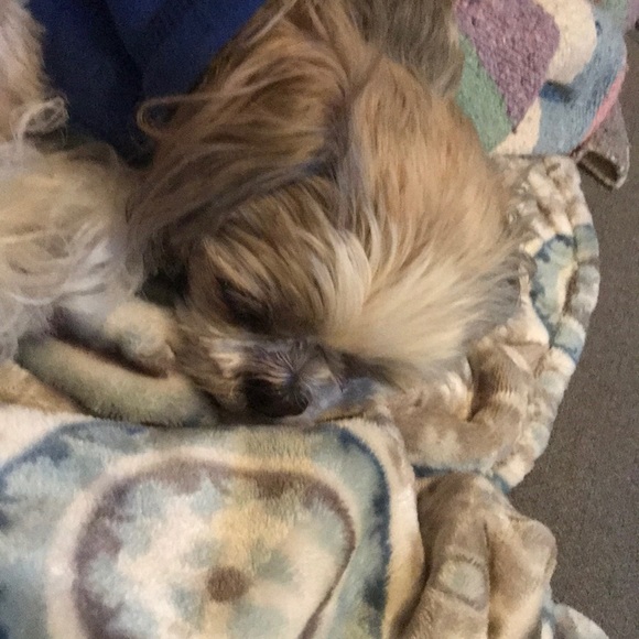 Meet your Posher, Kevin - Picture 1 of 1